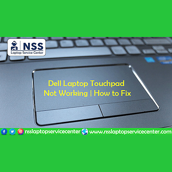 extremadamente Locura maníaco dell laptop touchpad not working monitor